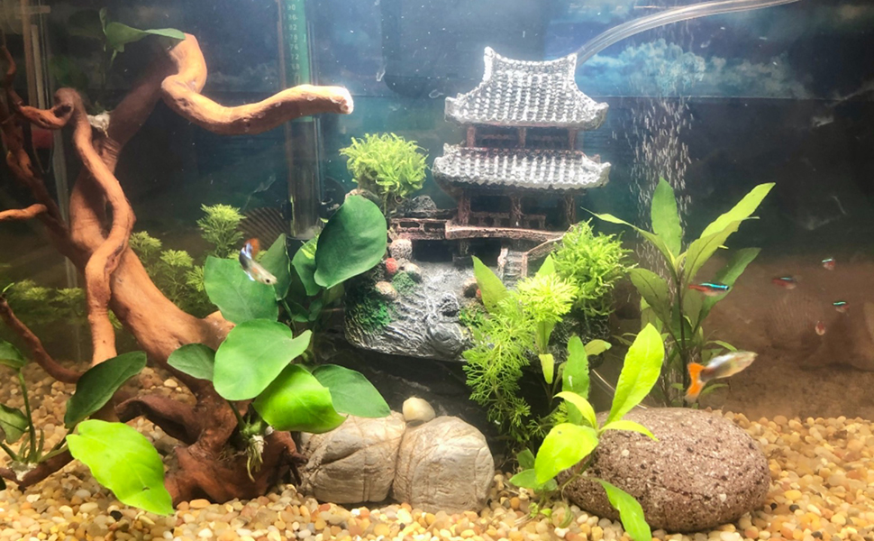 How To Choose The Right Fish Tank Substrate For Your Aquarium
